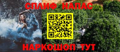 стафф Краснознаменск