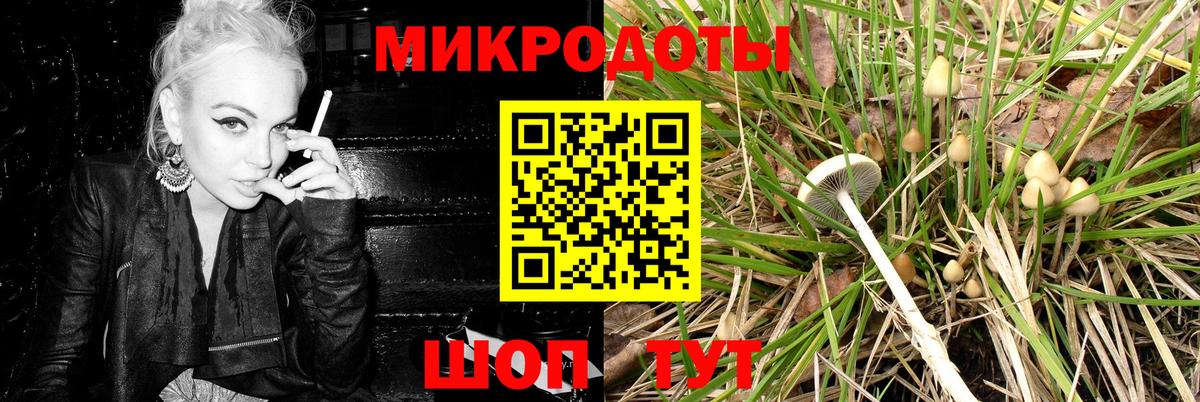 Псилоцибиновые грибы Magic Shrooms Евпатория