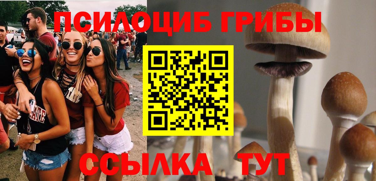 Евпатория  Псилоцибиновые грибы Psilocybe  Вход с VPN 